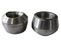 Accessoires de Tuyauterie forgés